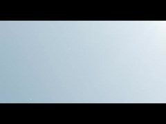 introducción de la marca