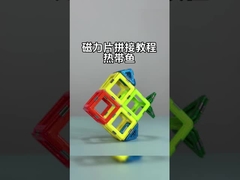 Reunión de azulejos magnéticos con formas versátiles para animales y plantas Peces tropicales